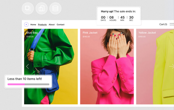 Professional WordPress Design & Development